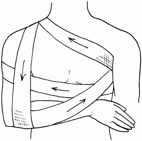 Елена Храмова, Владимир Плисов - Справочник медицинской сестры