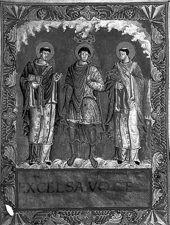 Сборник - Папоротники