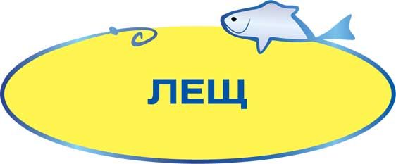 Константин Сторожев - Ловля карпа, леща, толстолобика, белого амура. Секреты и...