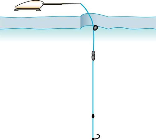 Константин Сторожев - Ловля карпа, леща, толстолобика, белого амура. Секреты и...