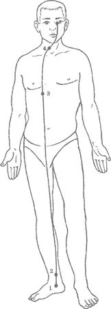 Дина Крупская - Лестница в небо, или Китайская медицина по-русски