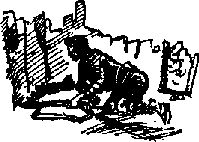 Тайна Рио де Оро