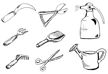 Наталья Логачева, Наталья Шешко - Энциклопедия комнатных растений