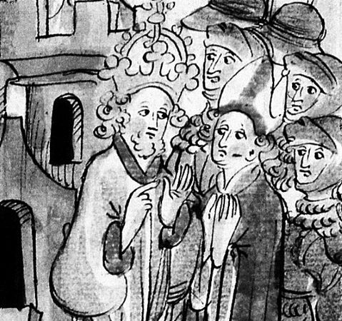 Сборник - Папоротники