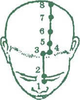 Дина Крупская - Лестница в небо, или Китайская медицина по-русски