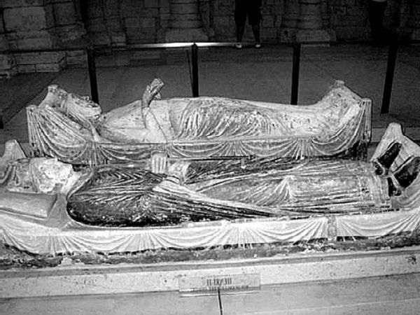 Сборник - Папоротники