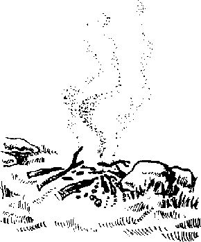 Чарльз Робертс - Каменный век (с иллюстрациями)