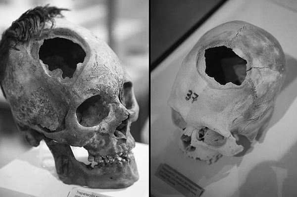 Андрей Скляров - Наска: гигантские рисунки на полях