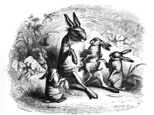 Коллектив авторов - Сцены частной и общественной жизни животных