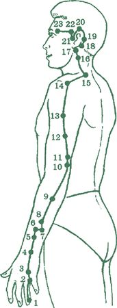 Дина Крупская - Лестница в небо, или Китайская медицина по-русски