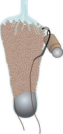 Константин Сторожев - Ловля карпа, леща, толстолобика, белого амура. Секреты и...