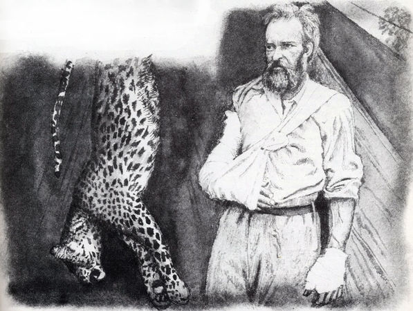 Коллектив авторов - Дикие кошки