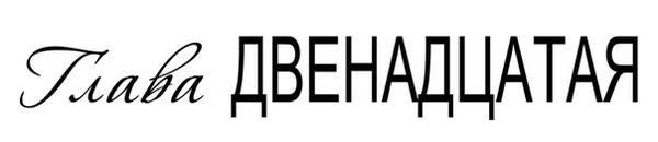 Темная дикая ночь