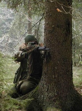 Сергей Шемякин - Амазонки за кромкой