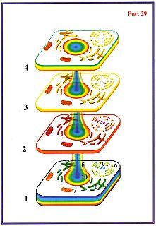 Николай Левашов - Сущность и Разум. Том 1