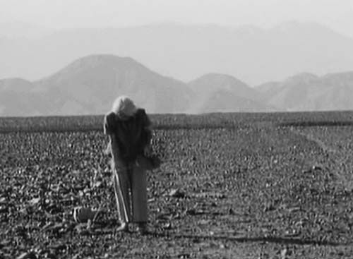 Андрей Скляров - Наска: гигантские рисунки на полях