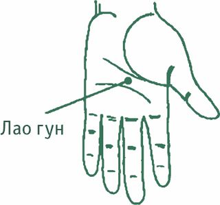 Дина Крупская - Лестница в небо, или Китайская медицина по-русски