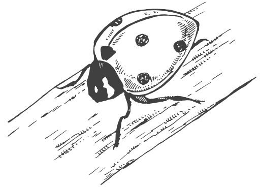 Ольга Романова - Символы для привлечения денег, удачи, счастья, богатства