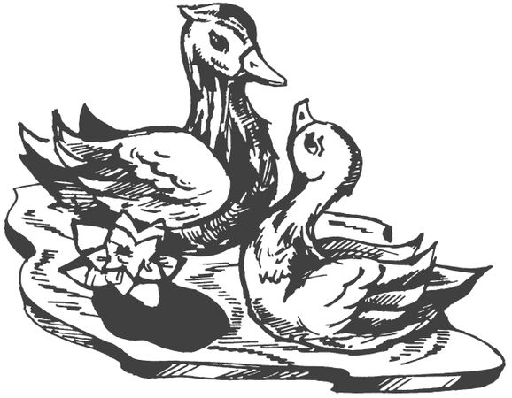 Ольга Романова - Символы для привлечения денег, удачи, счастья, богатства