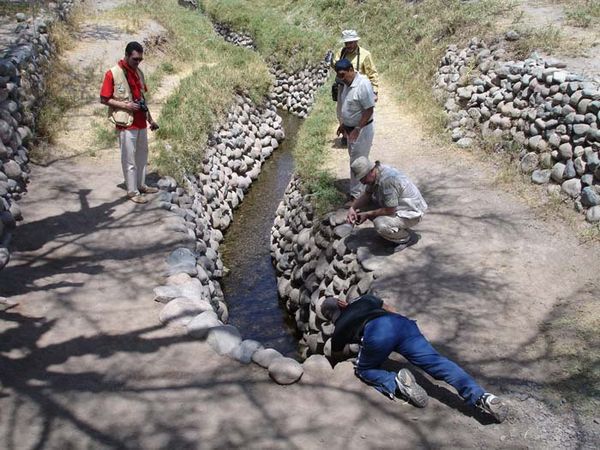 Андрей Скляров - Наска: гигантские рисунки на полях