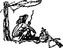 Аркадий Фидлер - Тайна Рио де Оро