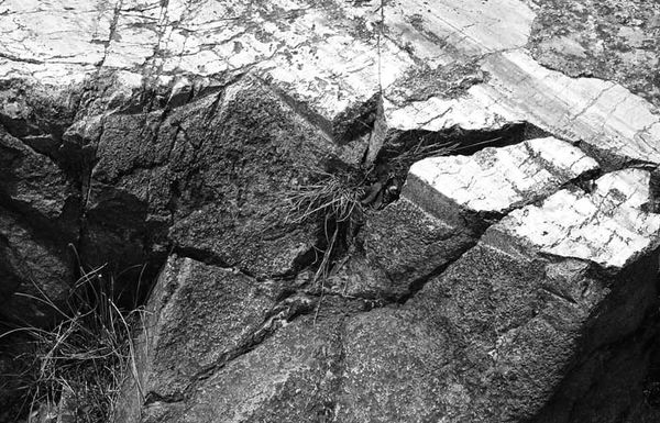 Андрей Скляров - Наска: гигантские рисунки на полях