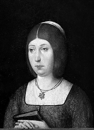 Сборник - Папоротники