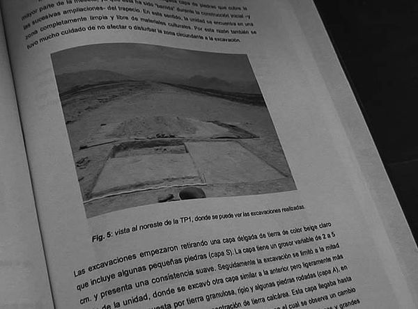 Андрей Скляров - Наска: гигантские рисунки на полях