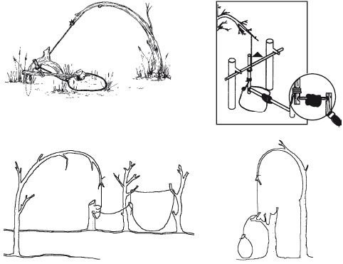 Коллектив Авторов - Способы автономного выживания человека в природе