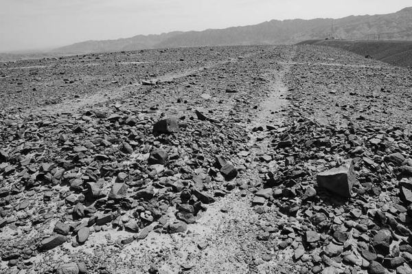 Андрей Скляров - Наска: гигантские рисунки на полях