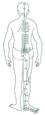 Дина Крупская - Лестница в небо, или Китайская медицина по-русски