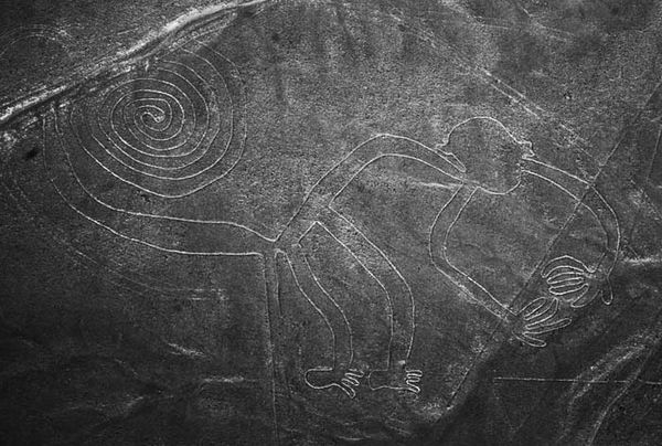 Андрей Скляров - Наска: гигантские рисунки на полях