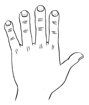 Антонина Соколова - Уроки хиромантии