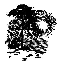 Александр Сердюк - В ловушке