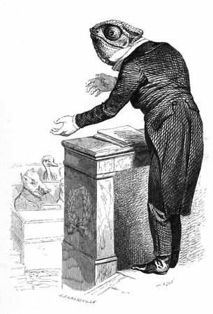 Коллектив авторов - Сцены частной и общественной жизни животных