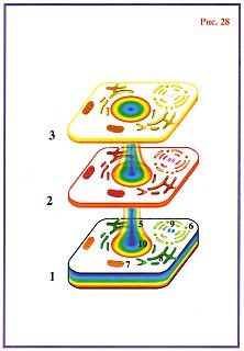 Николай Левашов - Сущность и Разум. Том 1