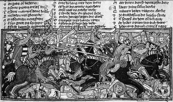 Сборник - Папоротники