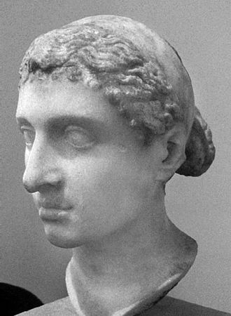 Сборник - Папоротники