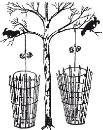 Коллектив Авторов - Способы автономного выживания человека в природе