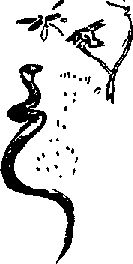 Аркадий Фидлер - Тайна Рио де Оро