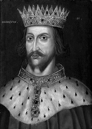 Сборник - Папоротники