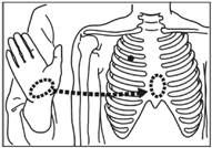 Безопасность на воде и оказание помощи...