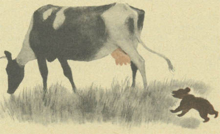 Виталий Коржиков - Вот какой Пахомов!