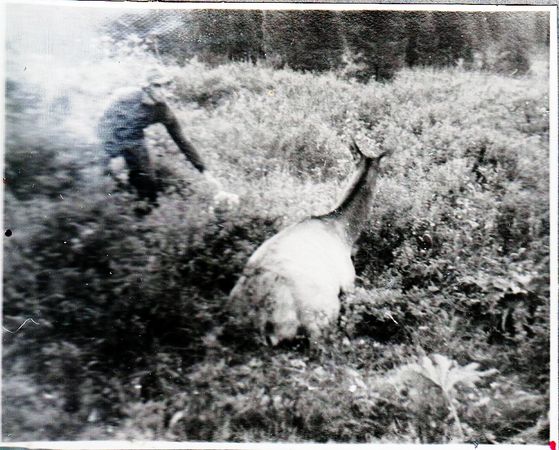 Наталья Притвиц - Саянский дневник