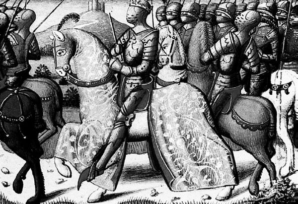 Сборник - Папоротники