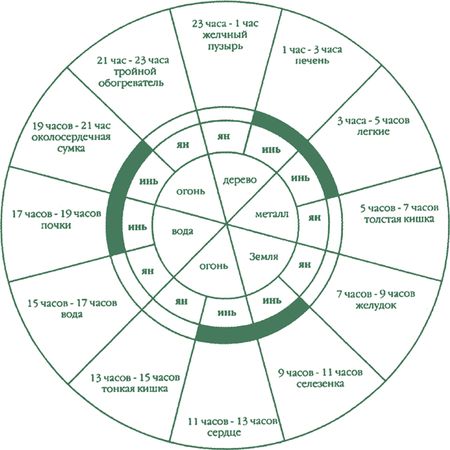 Дина Крупская - Лестница в небо, или Китайская медицина по-русски