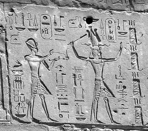 Сборник - Папоротники