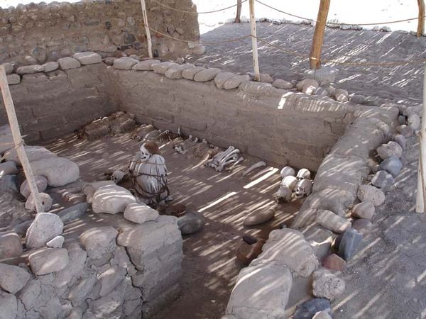 Андрей Скляров - Наска: гигантские рисунки на полях