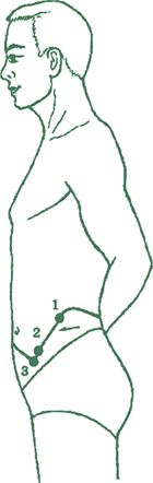 Дина Крупская - Лестница в небо, или Китайская медицина по-русски