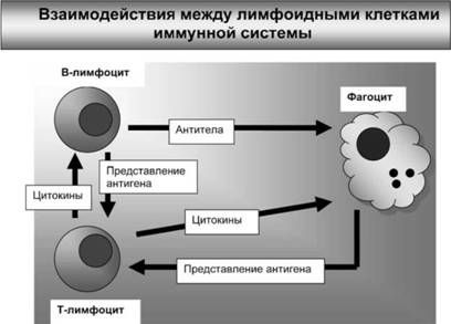 Вячеслав Тарантул - Имя ему СПИД: Четвертый всадник Апокалипсиса